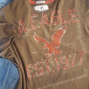 *Final* American Eagle Outfitters Brown T-shirt